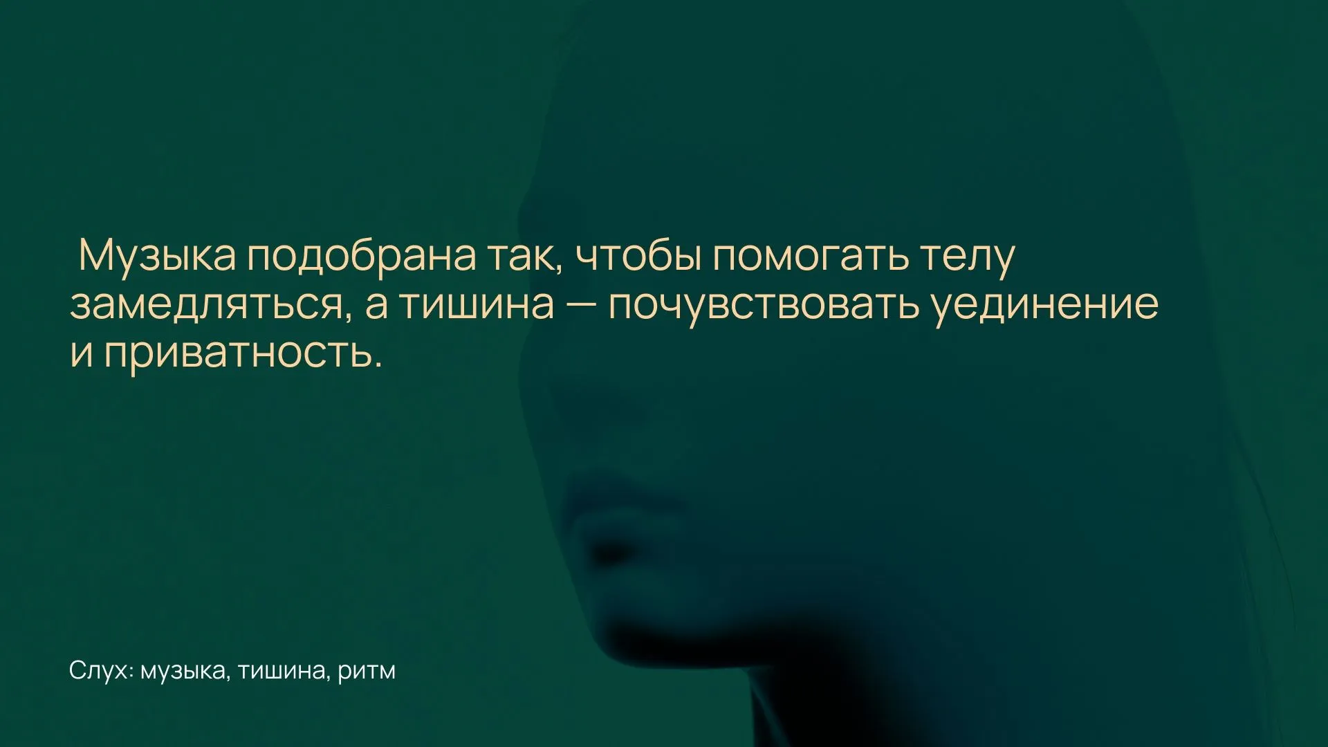 5.jpg 5.jpg