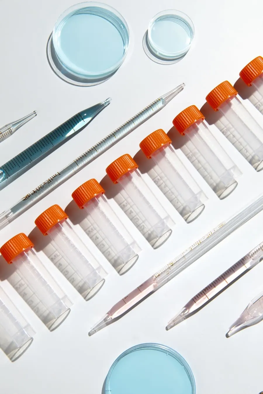 Чек-апы: почему профилактика — это лучший способ заботы о здоровье