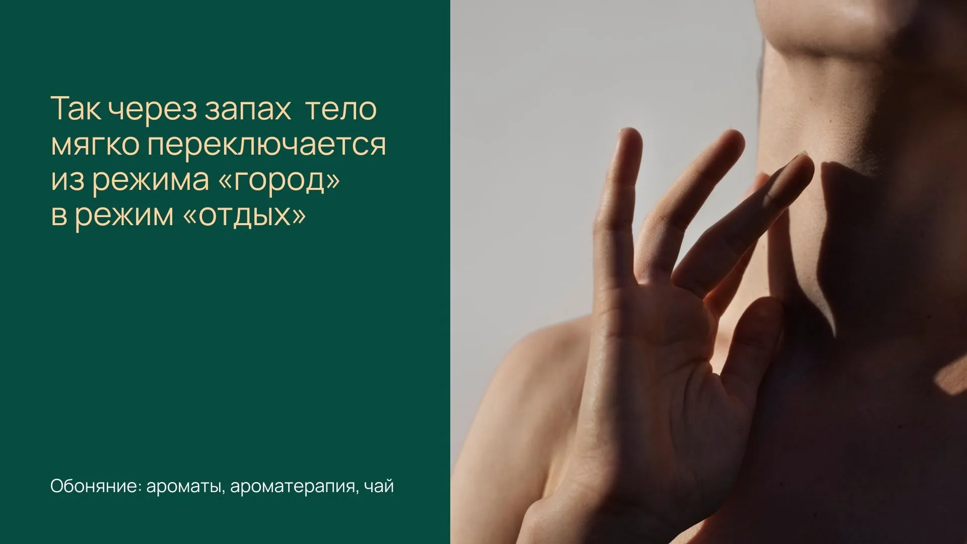 2.jpg 2.jpg