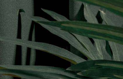 Оставьте заявку на флоатинг и получите массаж лица в подарок!