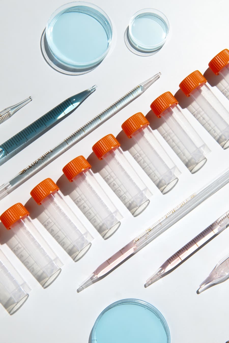 Чек-апы: почему профилактика — это лучший способ заботы о здоровье